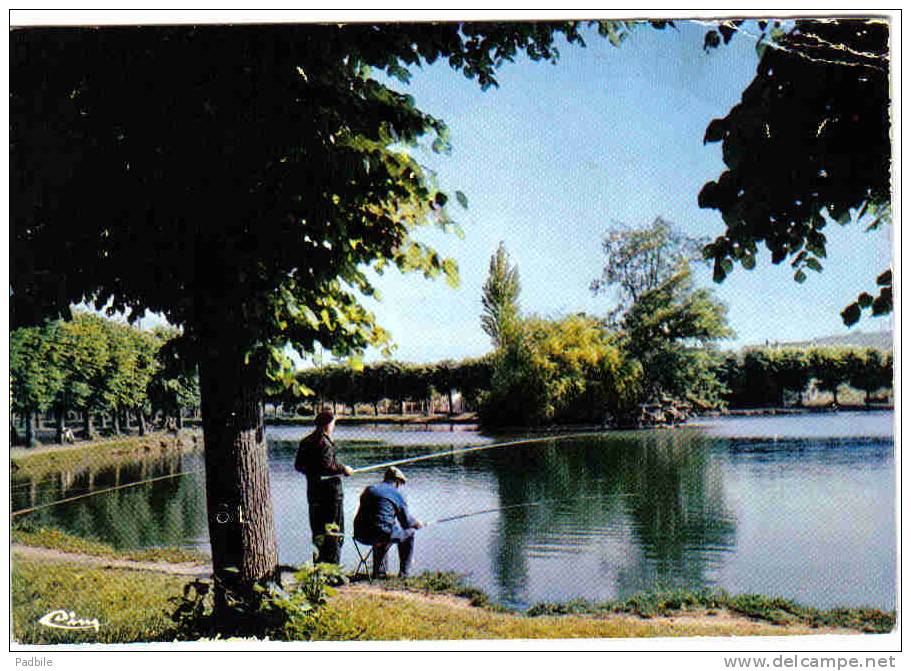 Carte Postale  91.  Vigneux  Jour De Pêche Sur Le Lac - Vigneux Sur Seine