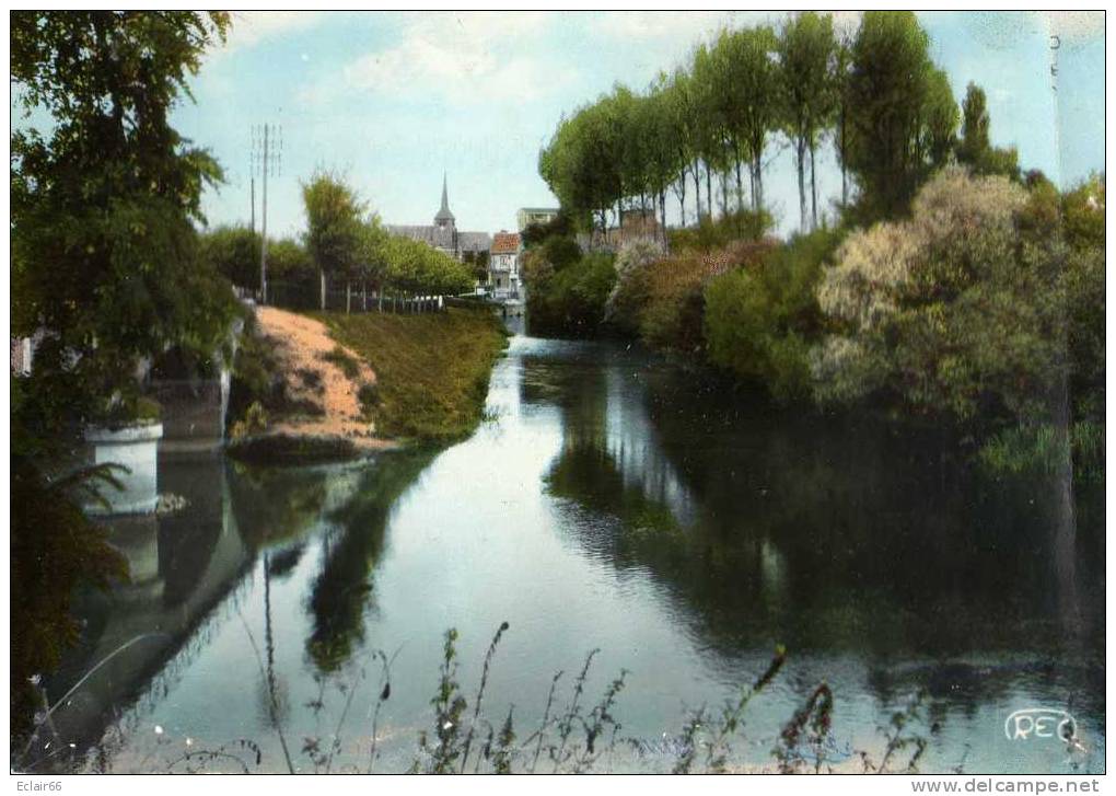 18   CLEMONT Les Bords De La Sauldre   CPSM   15X10cm - Clémont