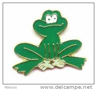 Pin, Pins. Kikker, Frog, Frosch, Grenouille. - Dieren