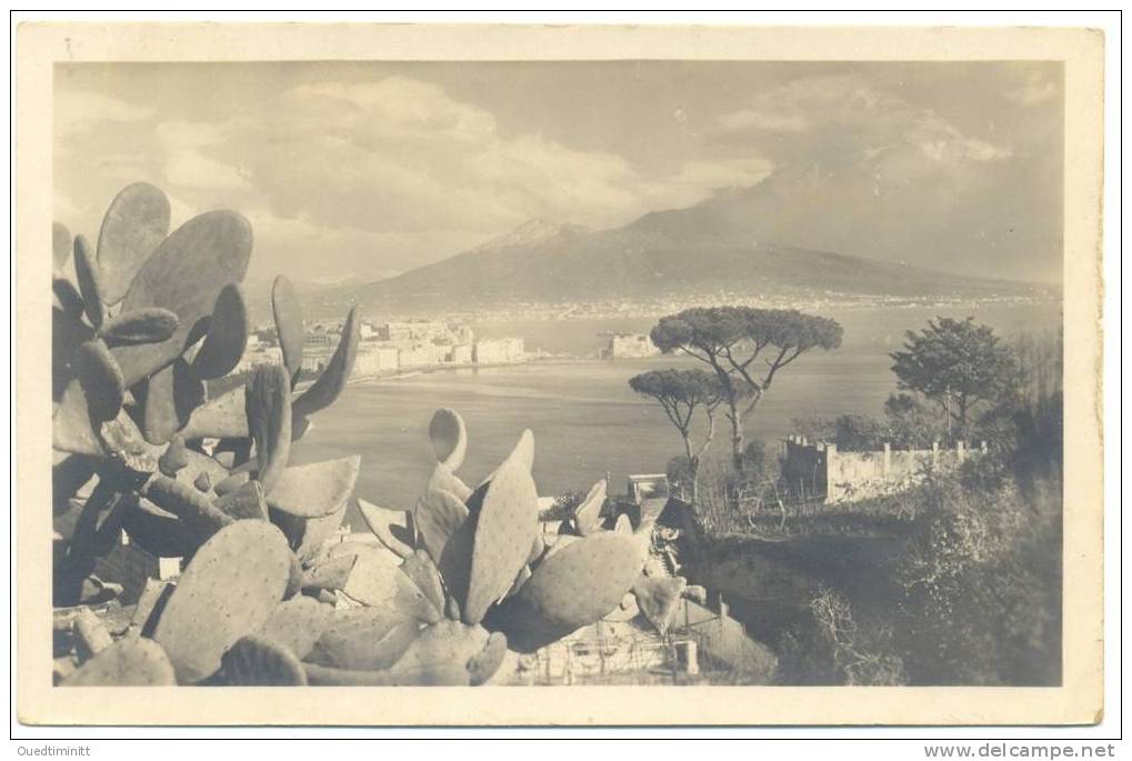 Italie.Napoli Da Posillipo.Vésuve.cactus.Belle Carte-photo. - Napoli (Naples)