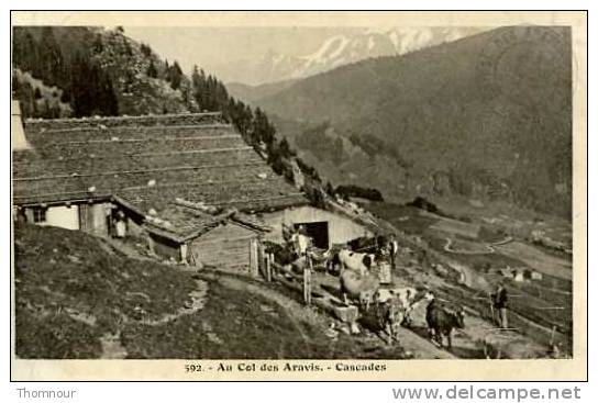 AU COL DES ARAVIS **ERREUR D INSCRIPTION CASCADES  AU LIEU DE CHALET D ALPAGE VERSO TAMPON CHALET DU COL DES ARAVIS - Rumilly