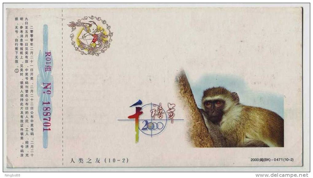 Rare Amimal Golden Money,CN 00 Fujian New Millennium Advertising Pre-stamped Card - Singes