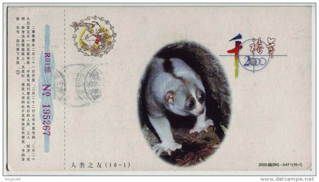 Endangered Species,Nycticebus Pygmaeus Monkey,CN 00 Fujian New Millennium Advertising Pre-stamped Card - Apen