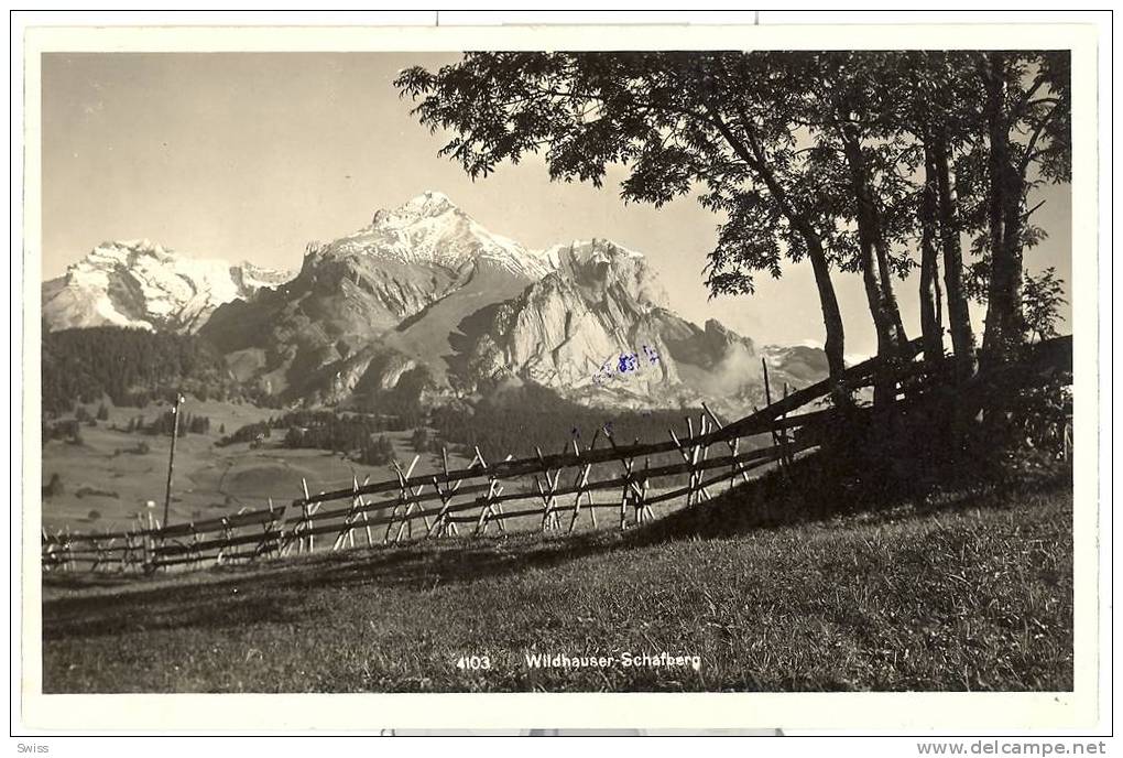 WILDHAUSER  SCHAFBERG - Berg