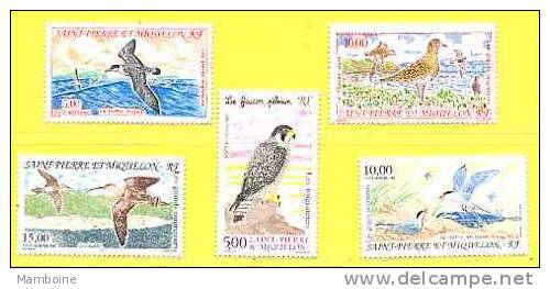 St Pierre Et Miquelon Oiseaux Aerien  N° 72/76 Neuf X X (gomme Sans Trace ) - Ongebruikt