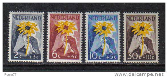 PD119 - OLANDA 1949 , Croce Rossa  Serie 509/512 *** - Unused Stamps