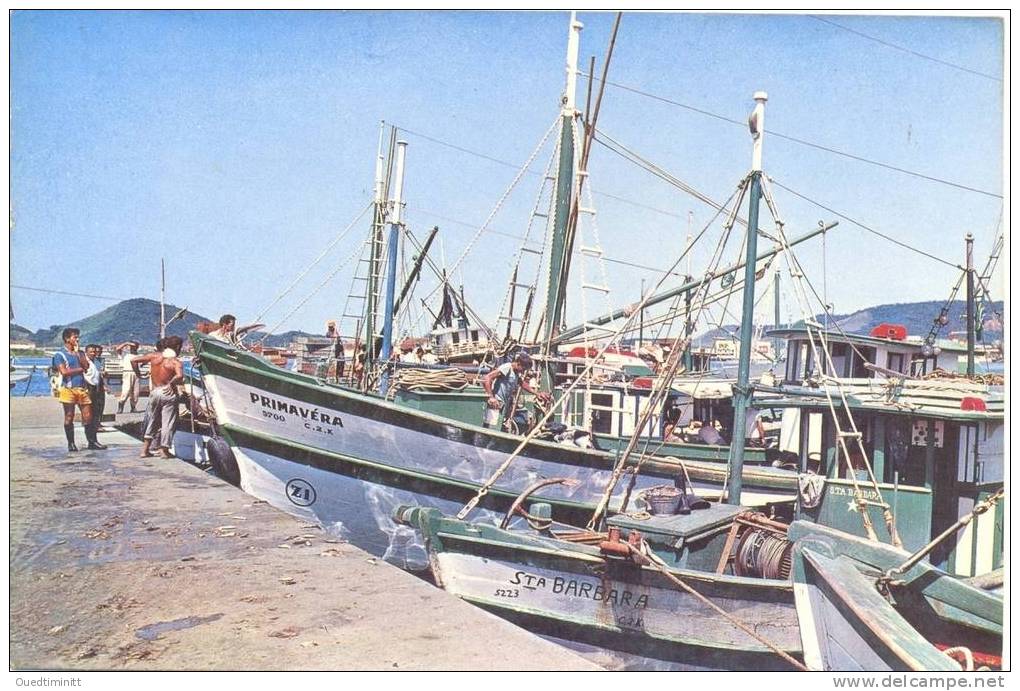 Brésil.Santos.Les Quais.Les Chalutiers. - Fishing Boats