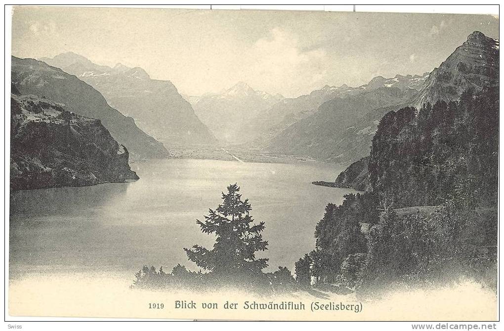 BLICK VON DER SCHWÄNDIFLUH    SEELISBERG - Seelisberg