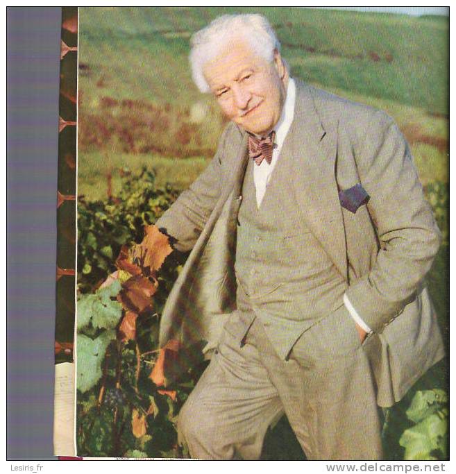 DIE GROSSEN WEINE FRANKREICHS - VON ANDRE SIMON - ULLSTEIN - 1965 - THE NOBLE GRAPES AND THE GREAT WINES OF FRANCE - Comidas & Bebidas