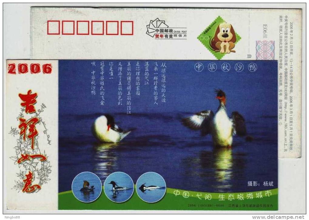Rare Chinese Merganser Duck,nat'l First Category Protection List,CN 06 Yiyang Ecological Tourism City Pre-stamped Card - Entenvögel