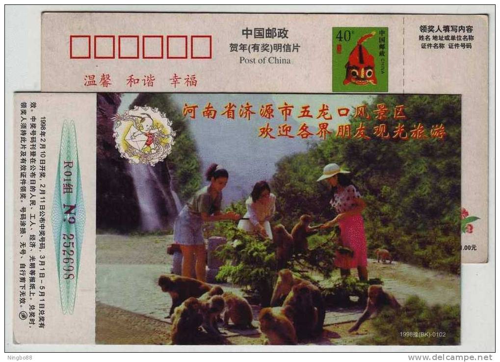 China 1998 Wulongkou Scenic Spot Tourism Advertising Postal Stationery Card Monkey Feeding And Mountain Waterfall - Monkeys