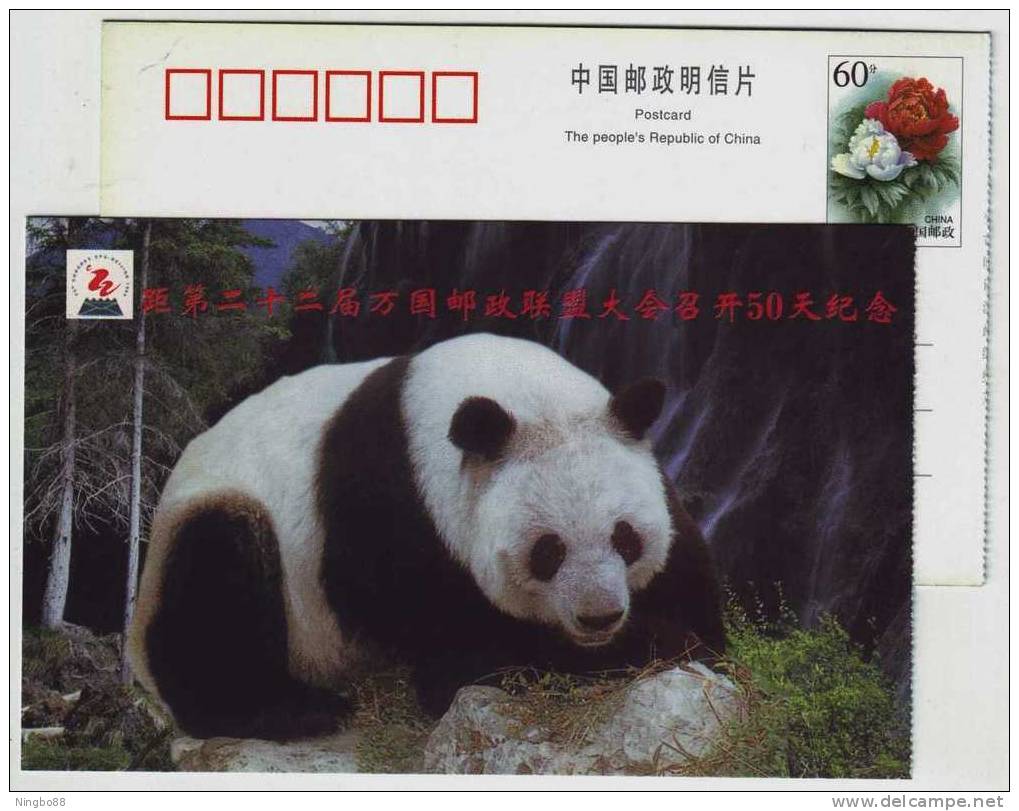 Mountain Waterfall,Giant Panda,China 1998 The 22th UPU Congress Advertising Pre-stamped Card - Other & Unclassified