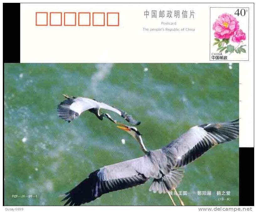 Bird Crane  Pre-stamped Postcard - Cranes And Other Gruiformes