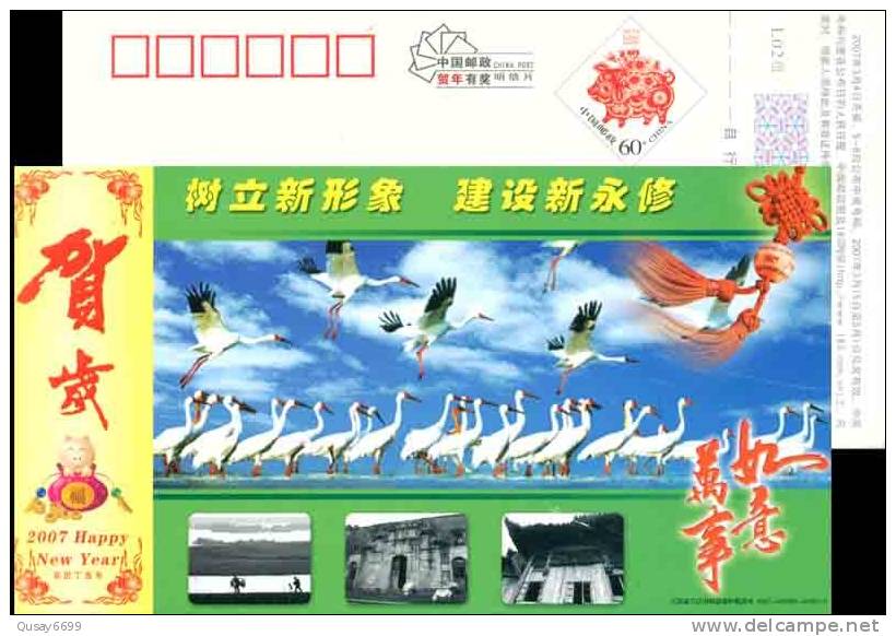 Bird Crane Building   Pre-stamped Postcard - Cranes And Other Gruiformes