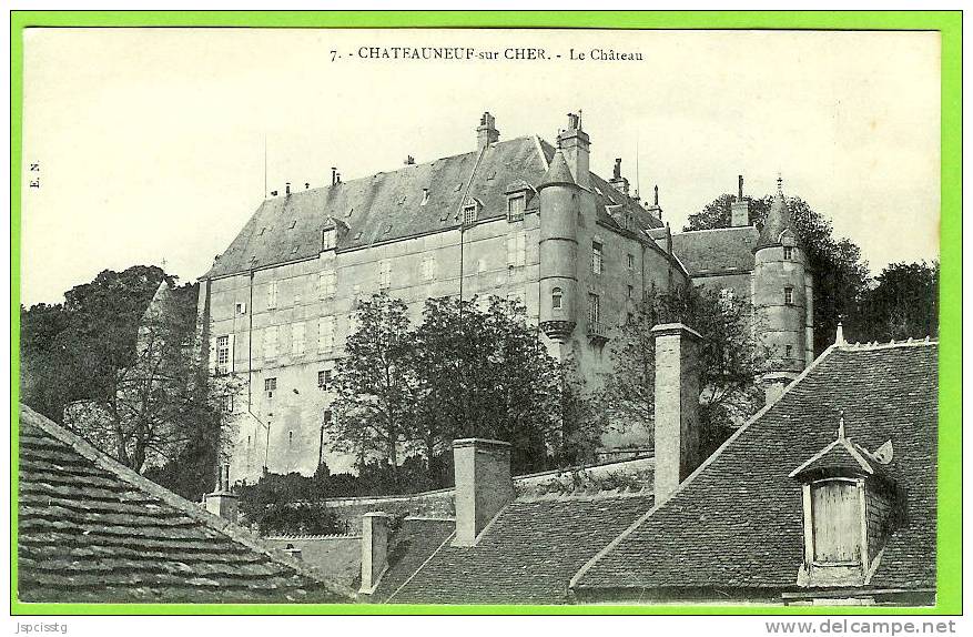 CHATEAUNEUF SUR CHER  Le Château - Chateauneuf Sur Cher