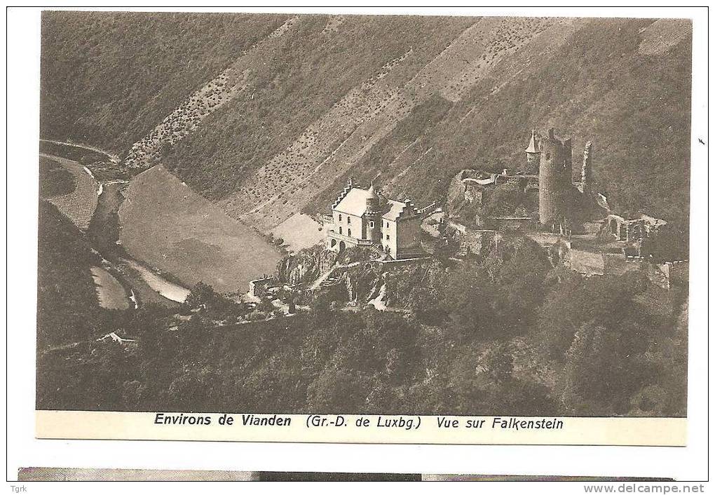 Luxembourg Environs De Vianden  Vue Sur Falkenstein - Vianden