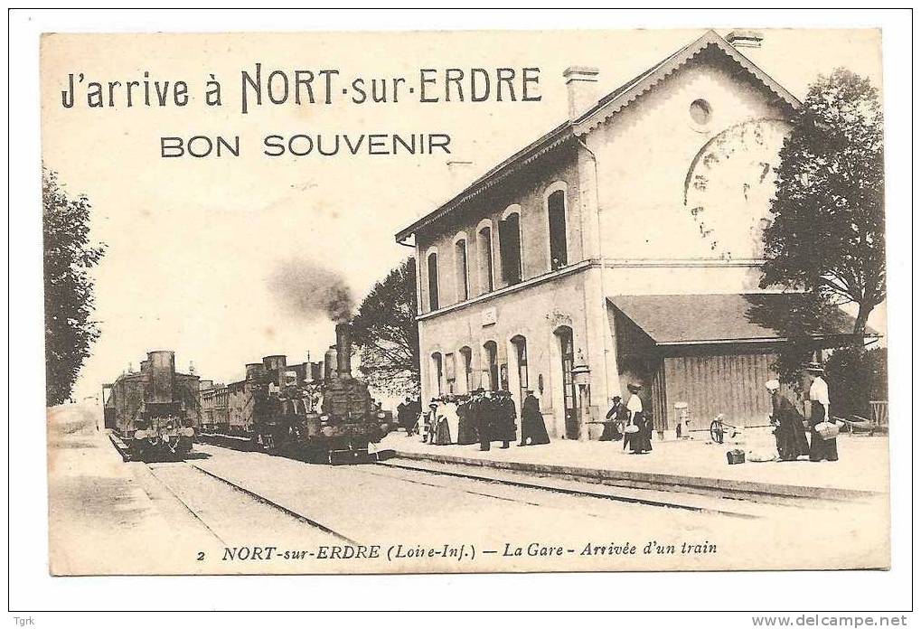 NORT SUR ERDRE  La Gare Arrivée D'un Train Animé - Nort Sur Erdre