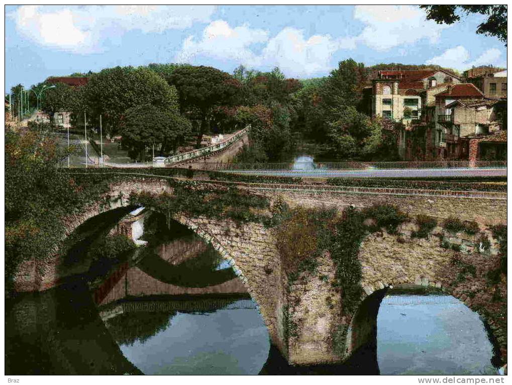 CPSM Colorisée  Graulhet Pont Vieux Sur Le Dadou - Graulhet