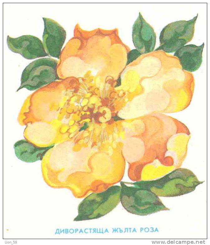 Uco+cq Bulgaria PSE Stationery 1991 Flowers YELLOW ROSE, Post Dove Mint/4811 - Rosas