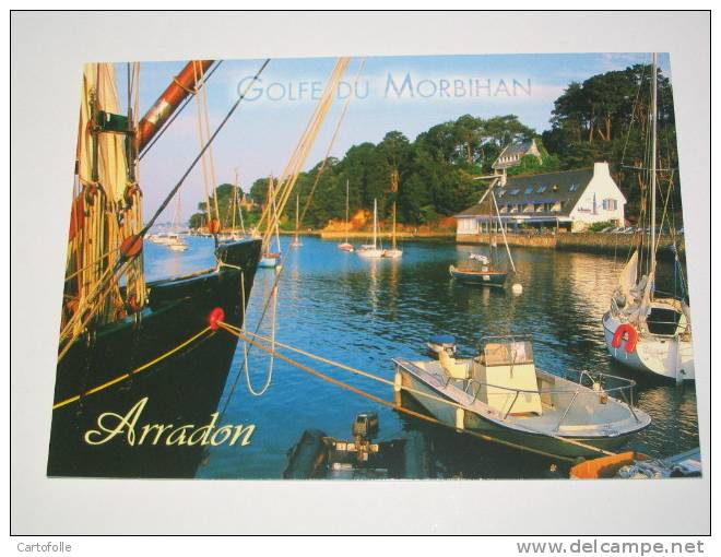 Lot 163 -1- Carte Postale Sur Arradon La Pointe - Arradon