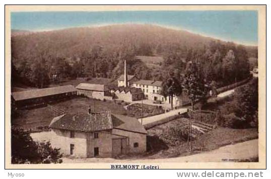 42 BELMONT - Belmont De La Loire