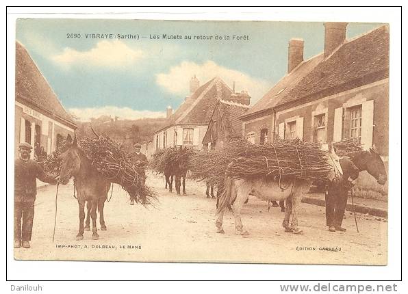 72 // FL / VIBRAYE, Les Mulets Au Retour De La Fôret (chargés De Bois), Tres Animée, Ed Garreau, Photo Dolbeau Colorisée - Vibraye