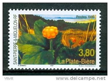 SAINT-PIERRE-ET-MIQUELON, 1999, N° 688**, (Yvert Et Tellier) Flore, La Plate-Bière. - Unused Stamps