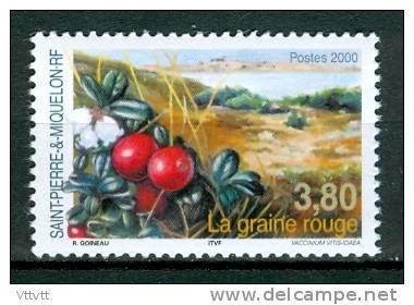 SAINT-PIERRE-ET-MIQUELON, , 2000, N° 710**, (Yvert Et Tellier) Flore, La Graine Rouge. - Nuovi