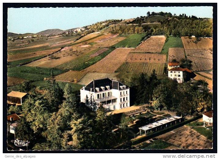 69 Rhône, CPSM 10x15, LE BOIS  D'OINGT, Vue Aérienne Maison De Convalescence "Mon Repos" Et Vignes Au Dessus, écrite, TB - Le Bois D'Oingt