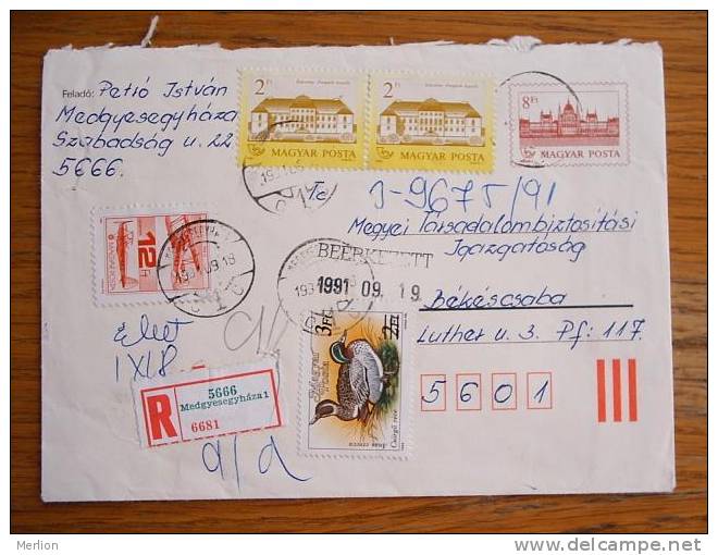 Hongrie Hungary Ungarn Courrier Moderne, Cover, Local Franking D5091 - Covers & Documents