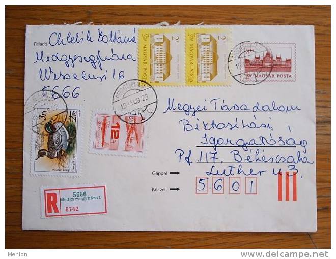 Hongrie Hungary Ungarn Courrier Moderne, Cover, Local Franking D5093 - Briefe U. Dokumente