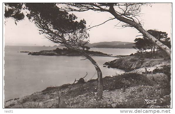 Dép 83 - J664 - Porquerolles - La Pointe Prime - Bon état  - Semi Moderne Petit Format - Porquerolles