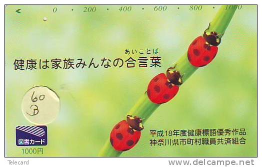 COCCINELLE KÄFER  Lieveheersbeestje LADYBIRD Telecarte (60b) - Ladybugs