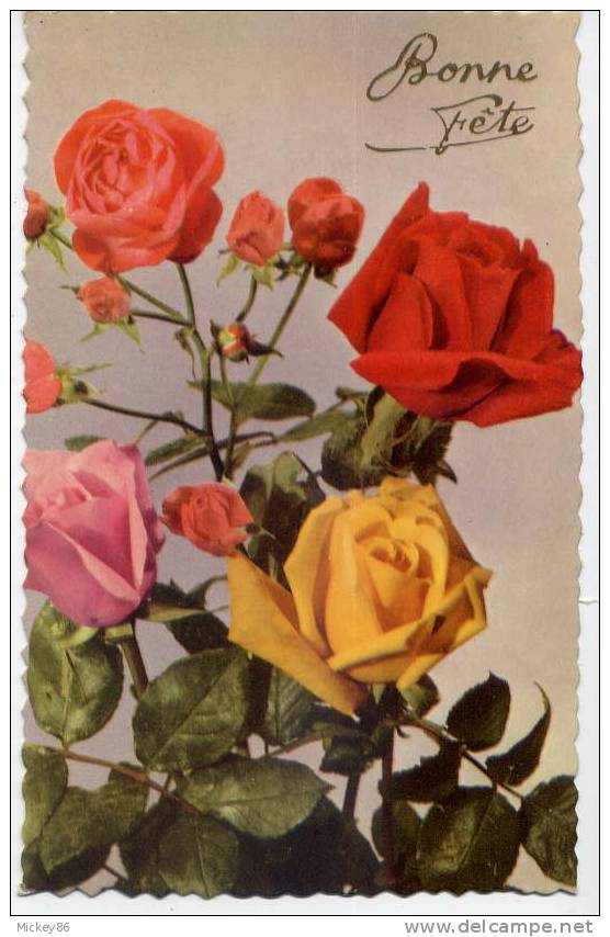 Roses--lot De 2 Cartes (1 Cpsm Et 1 Cpm) - Autres & Non Classés