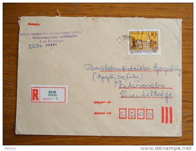 Hongrie Hungary Ungarn Courrier Moderne, Cover, Local Franking D5204 - Usado