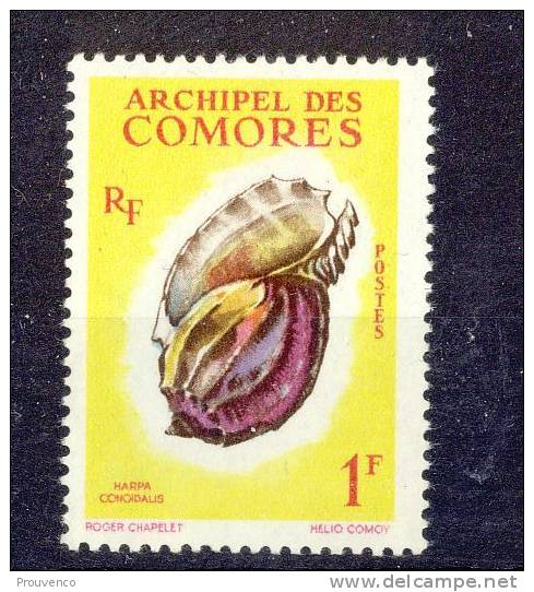 COMORES 1962  YT 20  COQUILLAGE SHELL  - HARPE  NEUF ** - Unused Stamps