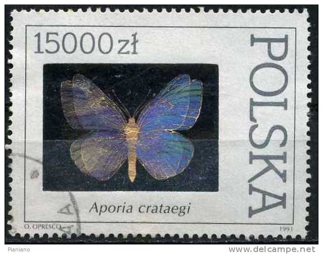 PIA - POL - 1991 - Fauna : Farfalla : Aporia Crataegi - (Mi 3349) - Oblitérés