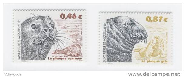 St. Pierre Et Miquelon - Serie Completa Nuova: Foche - Unused Stamps