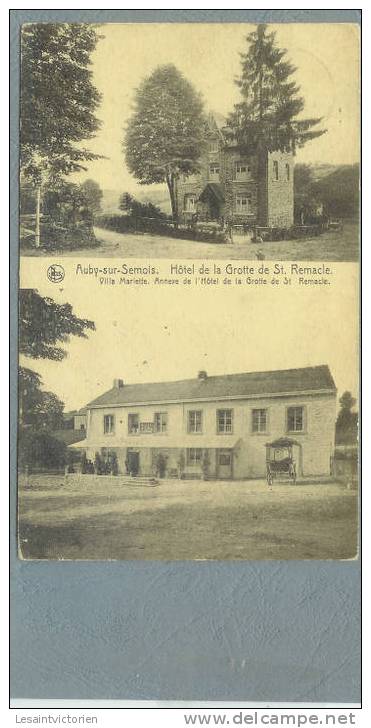 AUBY BERTRIX HOTEL DE LA GROTTE ET VILLA MARIETTE - Bertrix