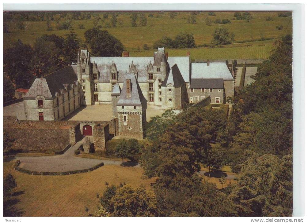 SUPERBE CPM..DE..HAUTE GOULAINE..BELLE VUE AERIENNE DU CHATEAU DE GOULAINE.. - Haute-Goulaine