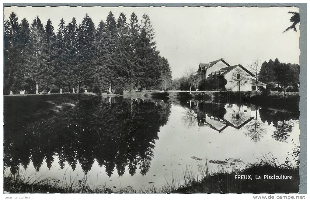 FREUX LIBRAMONT PISCICULTURE ETANG - Libramont-Chevigny