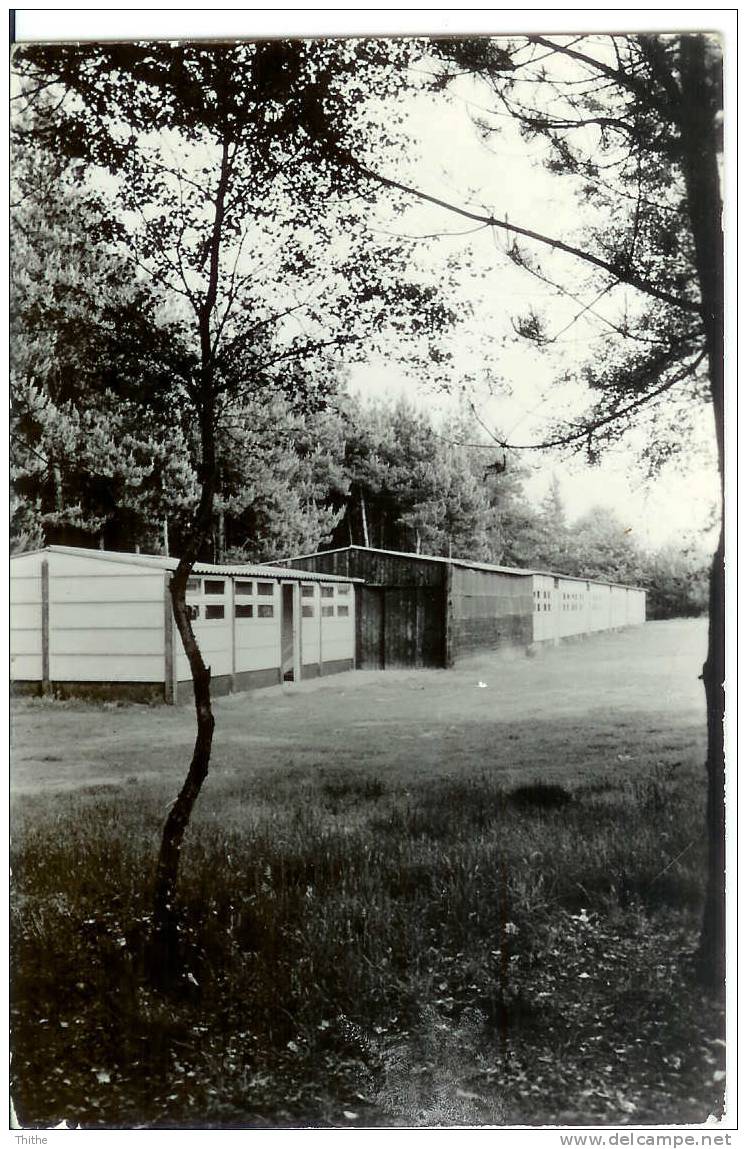 OPOETEREN Nachtegael - Maaseik