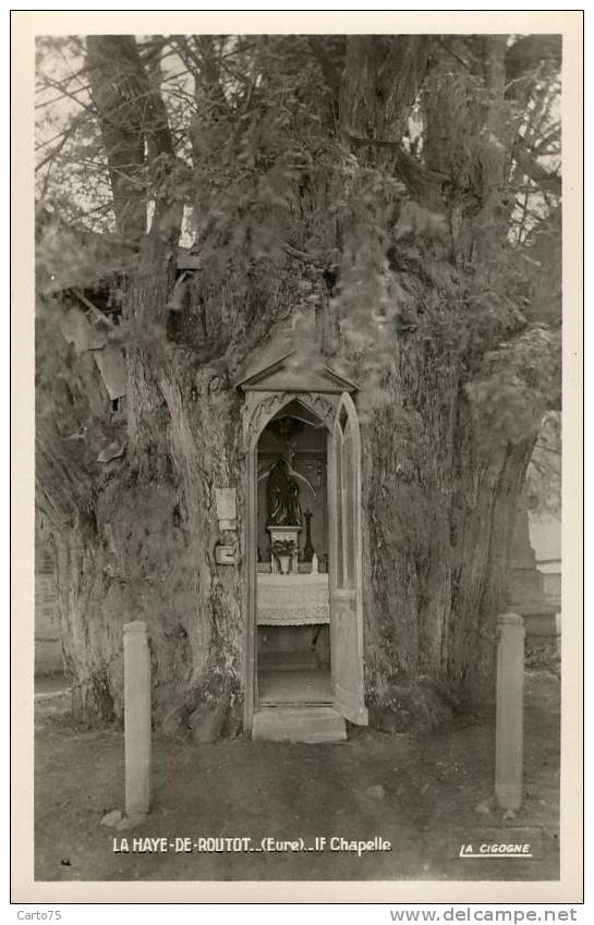 LA HAYE De ROUTOT 27 - If Notre Dame De Lourdes -Chapelle Dans Arbre - 12 M Diam. 1800 Ans Curiosité -Insolite -Religion - Routot