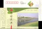 New House, , Gingko Leaf   Postal Stationery,  Pre-stamped Postcard - Fotografie
