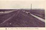 SCHELDE = Schorre En Polder (te Lillo Aan De Rechteroever Van De Schelde) - Animée - Andere & Zonder Classificatie