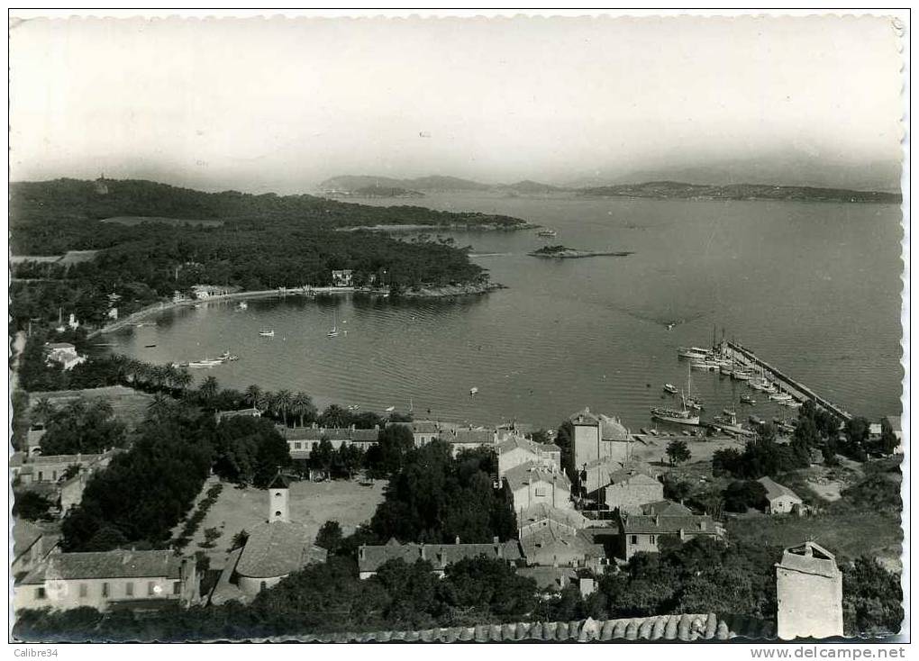 ILE DE PORQUEROLLES Vue Générale (1960) - Porquerolles