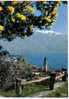 Carte Postale  Italie Suisse Lago Maggiore Le Lac Majeur  Ascona - Ascona