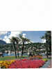 Carte Postale  Italie Suisse Lago Maggiore Le Lac Majeur  Ascona - Ascona