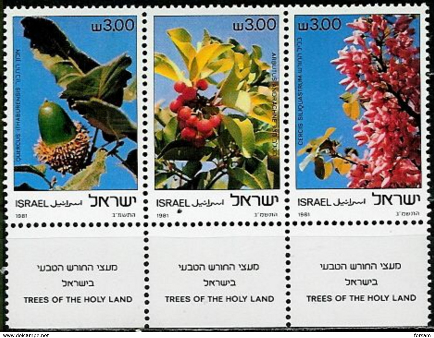 ISRAEL..1981..Michel # 868-870...MNH. - Ungebraucht (mit Tabs)