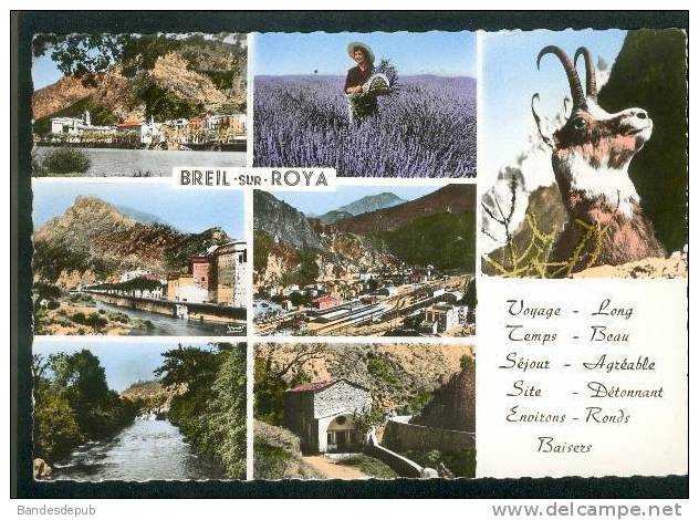 CPSM - BREIL SUR ROYA (06) - Multivues ( Dont Aérienne Gare Lavande Bouquetin ... éd. MAR CD 17 Collection Sarciron) - Breil-sur-Roya